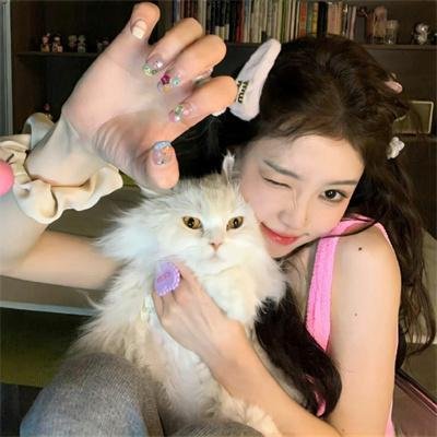 一条狗的回家路